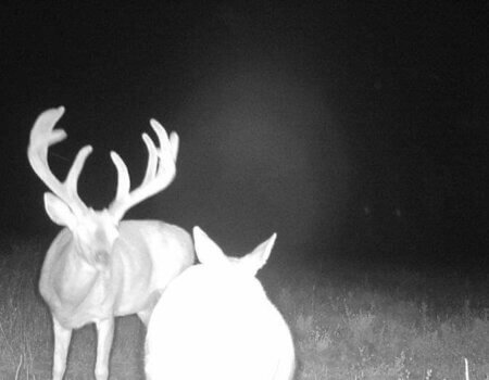 wta_365__featured_PYP2SP_IMG_0832