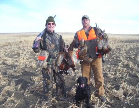 wta_388_T2EF9B_161_pheasant25