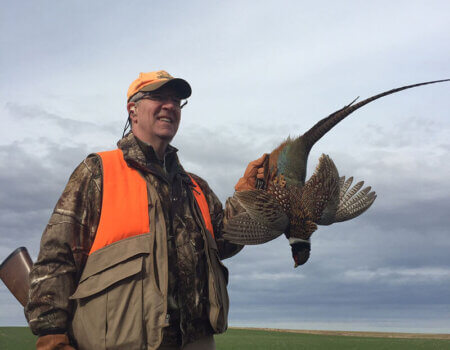 wta_388_ZQI8B7_161_pheasants4
