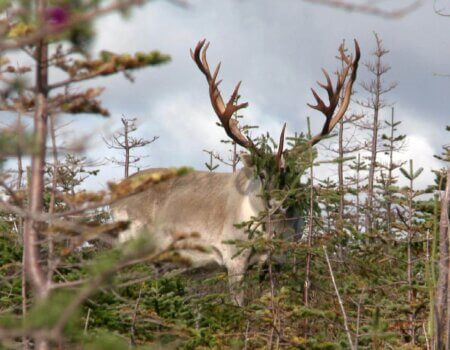 wta_410_4US3WN_101_wdbou-40