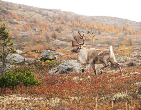 wta_410_8KEP2C_101_wdbou-34