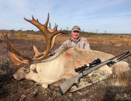 wta_410_palmertree bou