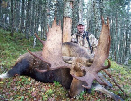 wta_411_1D4ZRW_101_moose-11