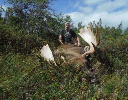 wta_411_1G3F0P_14716222_10153682957751324_6627680473555941248_n