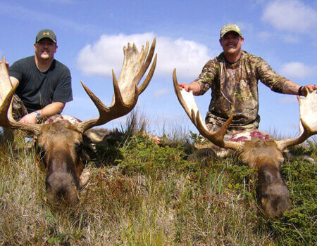 wta_411_1W2BX3_101_moose-29