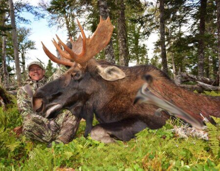 wta_411_7Z22FB_101_moose-38