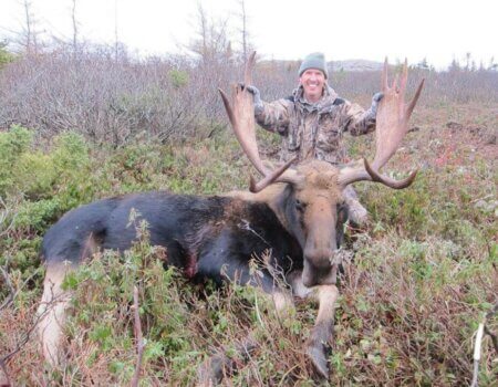 wta_411_8NGQDN_101_moose-21