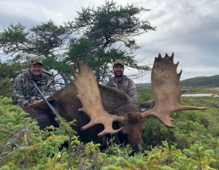 wta_411_Moose Image 1