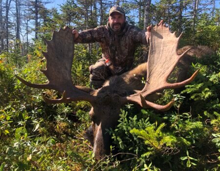 wta_411_Moose image 11 (1)