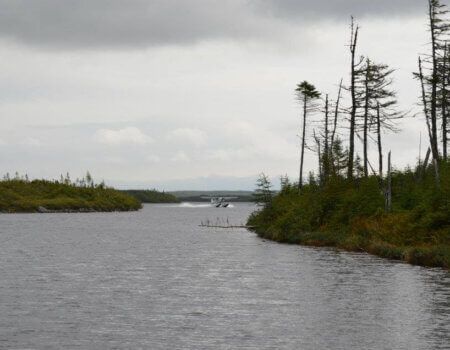 wta_412_2NIMDO_101_newfoundland-8