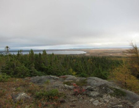 wta_412_8CFCUP_101_newfoundland-5