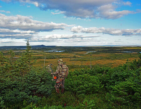 wta_412_ADCE0W_101_newfoundland-10