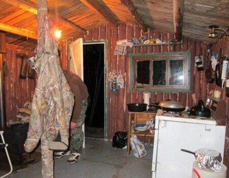 wta_412_ZHRBBX_101_newfoundland-4