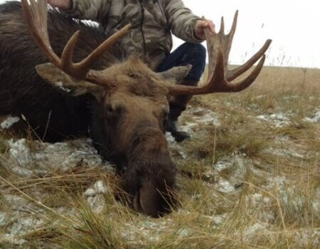 wta_453_DOAMC5_IMG_0027