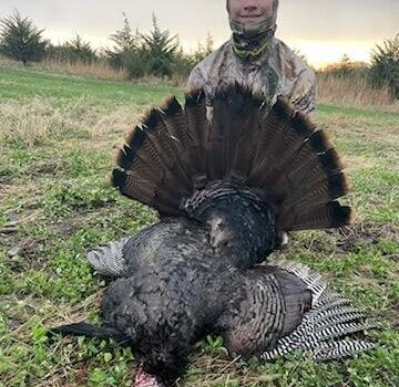 wta_462_output_image1704231198497