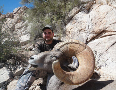 wta_488_IP40IA_DSC00086