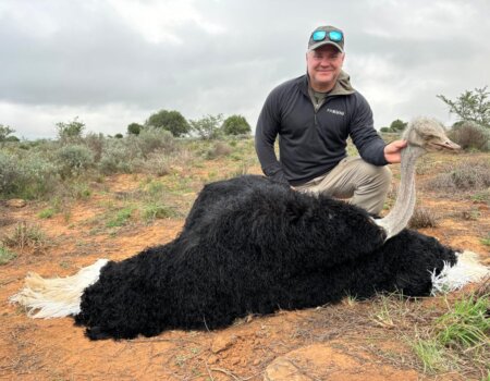 wta_52_869af198-dd56-43be-864f-d6de59b02d74