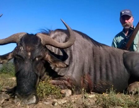 wta_52_WAHPU5_071_africa-77