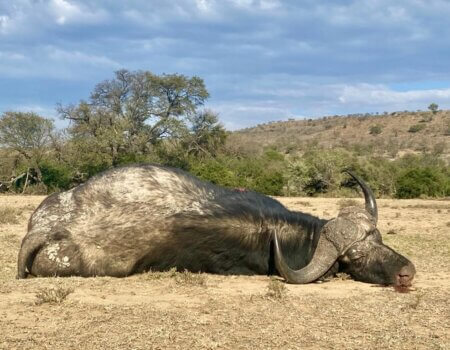 wta_52_WhatsApp Image 2023-10-04 at 17.49.48 (1)