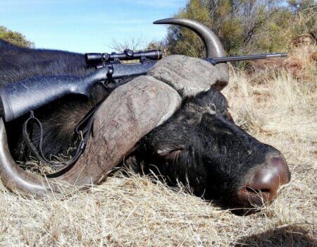 wta_52_WhatsApp Image 2023-10-05 at 07.18.36