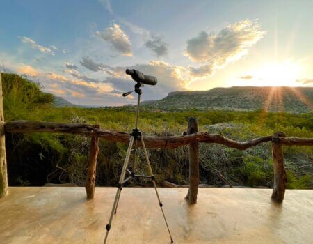 wta_52_WhatsApp Image 2023-10-08 at 17.50.56