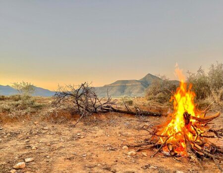 wta_52_WhatsApp Image 2023-10-08 at 17.51.01