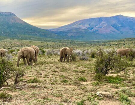 wta_52_WhatsApp Image 2023-10-08 at 17.51.03 (1)