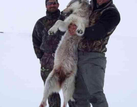 wta_546_1BEXSQ_002_AK-4