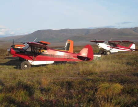 wta_546_D7COPP_AK002_Moose_Grizz(1)