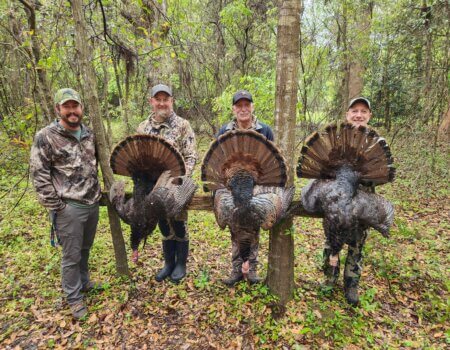 wta_559_20230318_110436