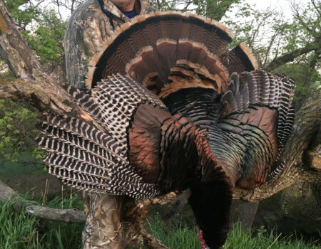 wta_566_GZP3WE_IMG_0520