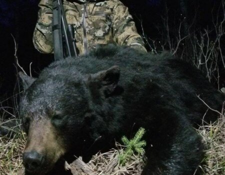 wta_567_0UPEWR_IMG-20190521-WA0000