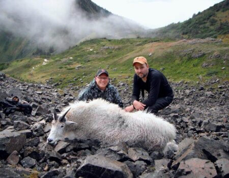 wta_585_64KCJK_0002_020515a_AKMoutainGoat_06