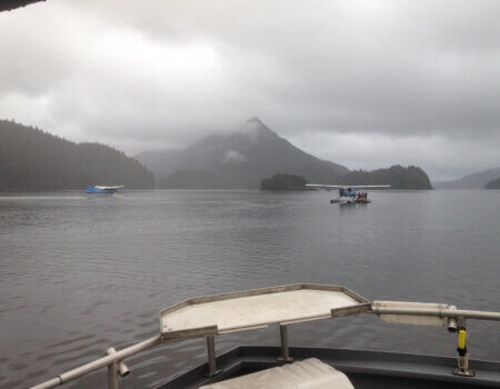 wta_586_MOS7Q3_IMG_1001