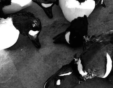 wta_586_PZCA9I_IMG_0273