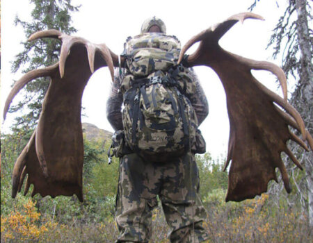 wta_587_XINUVU_AK067_2014(14)