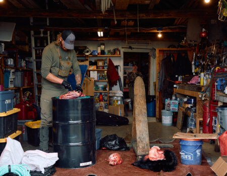 wta_588_082425-Grizzly-148