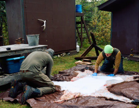 wta_588_082425-Grizzly-400