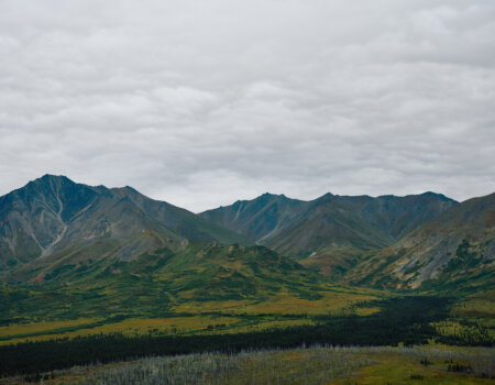 wta_588_082425-Grizzly-433