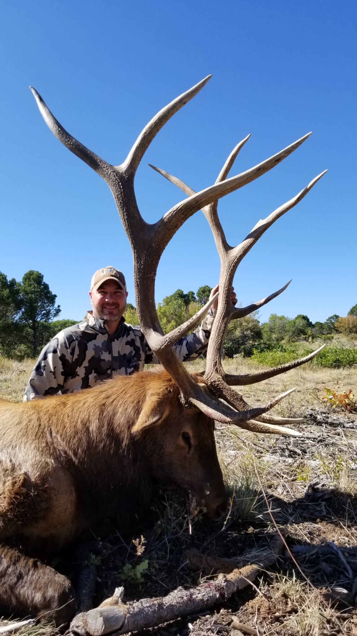 Unit 40 Colorado Elk Hunt