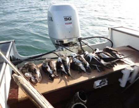 wta_620_BDN9AP_DSC00964