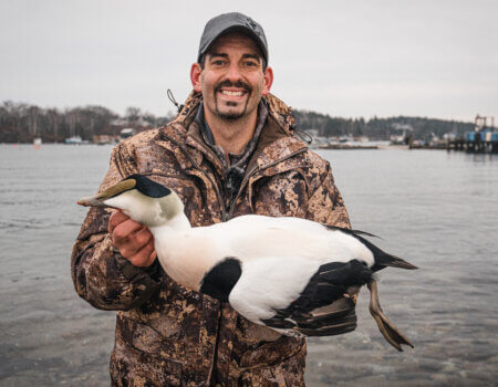 wta_620_DSC06110 Drake Common Eider