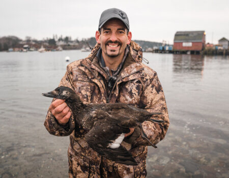 wta_620_DSC06176 Whitewing Scoter