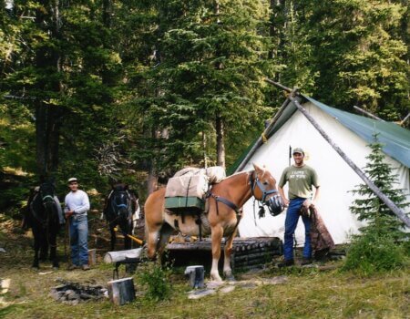 wta_622_Timberline-Guiding-Alberta-Canada-Hunting10