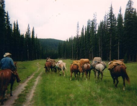 wta_622_Timberline-Guiding-Alberta-Canada-Hunting9