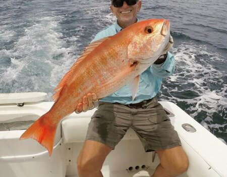 wta_625_2YC7PO_11325206_918264964895681_942739841_n