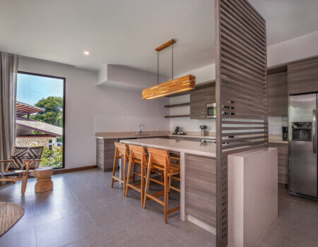 wta_625_Botanika_1-King-Bed-1-Bedroom-Suite_Kitchen_6720x4480 (1)