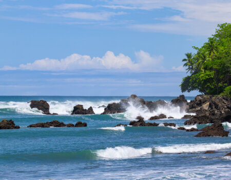 wta_625_Botanika_Backwash-Bay_5184x3456