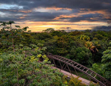 wta_625_Botanika_Bridge-View-Sunset_6720x4480