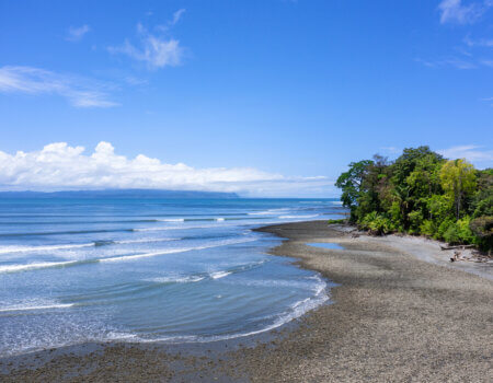 wta_625_Botanika_Golfo-Dulce-opt2_5464x3640